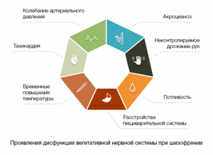 Схема лечения всд по гипотоническому типу