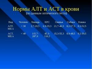 АСТ повышен в крови более 8 причин, что это значит, норма