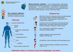 Картина спинномозговой жидкости при менингококковом менингите