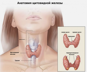 Hipotiroidismo bocio