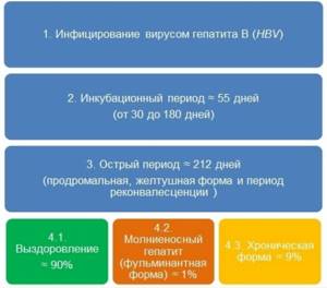 Результаты анализов на вич и гепатит фото