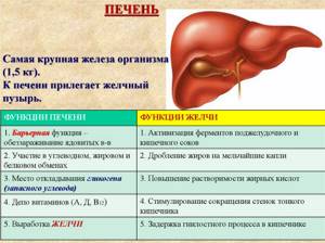 Используя дополнительные источники информации а также рисунок движение крови и желчи в печени