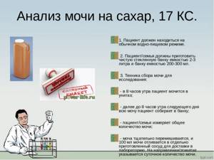 Анализ суточной как собирать. Исследование суточной мочи на сахар алгоритм. Исследование мочи на глюкозу памятка для пациента. Техника сбора мочи на сахар алгоритм выполнения. Сбор анализа мочи на сахар анализа алгоритм.