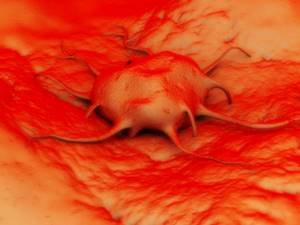 Виды анализов крови при раке желудка