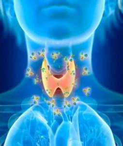 Коронавирус щитовидная железа