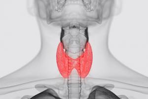 Какие бывают заболевания щитовидной железы