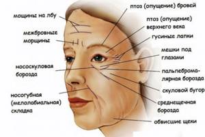 Возрастная модификация тканей лица