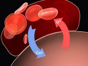Патогенез и этиология тромбоэмболии легочной артерии