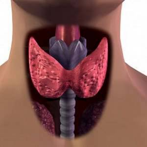Кашель при щитовидной железе – признак патологии
