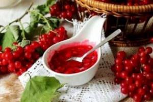 Калина при сахарном диабете типа: польза ягоды, рецепты использования