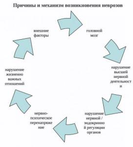Патогенез невроза Патогенез невроза