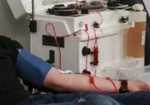 Плазмаферез крови – очистка крови опасная процедура