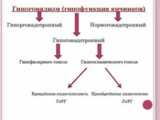 Гипергонадизм у мужчин презентация